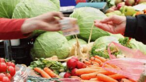Understanding Agribusiness, Value Chains, and Consumers in Global Food Systems