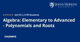 Algebra: Elementary to Advanced - Polynomials and Roots