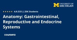 Anatomy: Gastrointestinal, Reproductive and Endocrine Systems