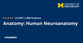 Anatomy: Human Neuroanatomy