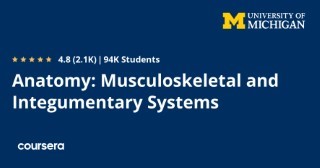 Anatomy: Musculoskeletal and Integumentary Systems