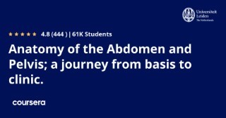 Anatomy of the Abdomen and Pelvis; a journey from basis to clinic.