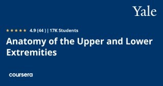 Anatomy of the Upper and Lower Extremities