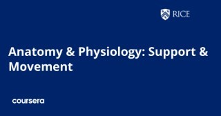 Anatomy & Physiology: Support & Movement