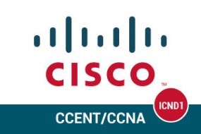 Cisco Interconnecting Cisco Networking D