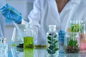 CLEP Chemistry: States of Matter