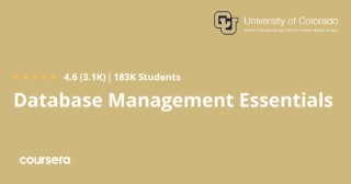 Database Management Essentials