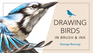 Drawing Birds in Brush & Ink