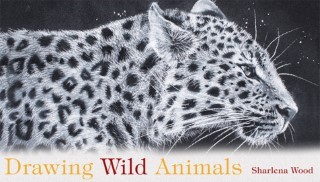 Drawing Wild Animals
