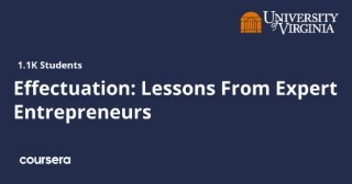 Effectuation: Lessons From Expert Entrepreneurs
