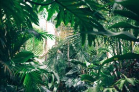 Environmental Education: Biodiversity Overview
