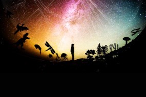 Extinctions: Past and Present