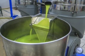 Extraction & Shelf Life Extension of Oil