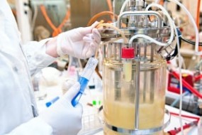 Fed Batch and Continuous Bioreactors