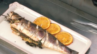 Fire Up the Fish