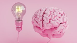 Free Mindset Tutorial - Breaking the Cycle: Overcoming Self Sabotage