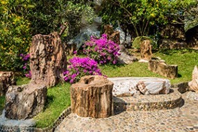 Garden Design Fundamentals