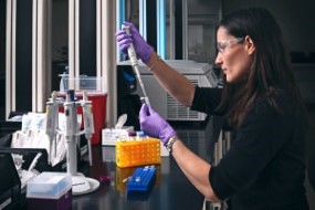 High School Chemistry: Measurements and