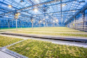 Improving Food Production with Agricultural Technology and Plant Biotechnology