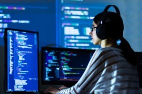 IT Management and Building Information Systems Course