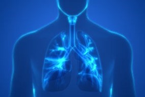Learn about Chronic Obstructive Pulmonary Disease (COPD)