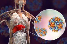 Learn about Hepatitis C Diagnosis, Prevention and Treatment