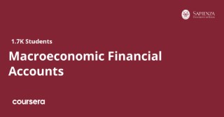 Macroeconomic Financial Accounts