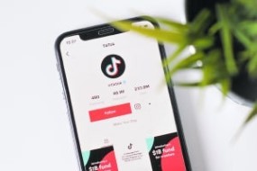 Market your business on TikTok with this free online course on Alison.