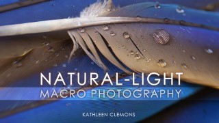Natural-Light Macro Photography
