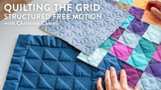 Quilting the Grid: Structured Free Motion