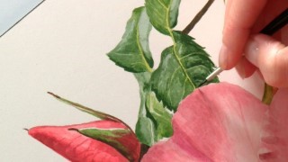 Realistic Watercolors Step by Step