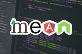 Secure MEAN Stack Developer