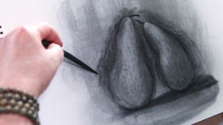 See Better, Draw Better: Exercises for Beginners