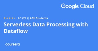 Serverless Data Processing with Dataflow Specialization