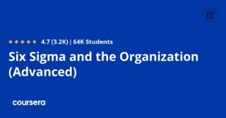Six Sigma and the Organization (Advanced)