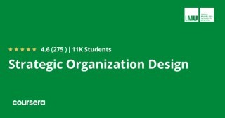 Strategic Organization Design