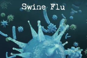Swine Flu Course | Causes, Effects and Treatment