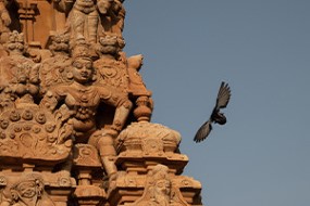 Tamil for Beginners 1 Tamil for Beginners