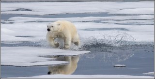 The frozen planet
