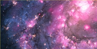 The restless Universe