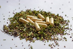 Understanding Homeopathy