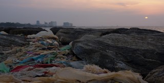 Understanding the environment: Learning and communication