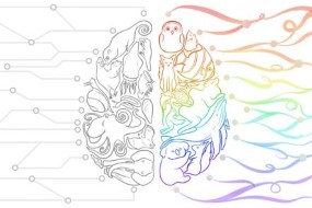 Using Animal Models in Psychological Research - Study Psychology Online - Future