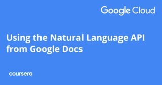 Using the Natural Language API from Google Docs
