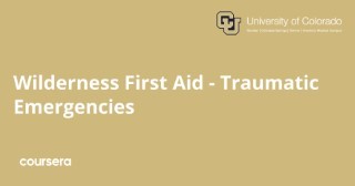 Wilderness First Aid - Traumatic Emergencies
