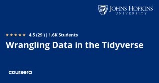 Wrangling Data in the Tidyverse