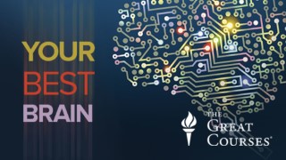 Your Best Brain