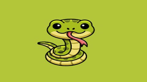 Free Python Tutorial - Python basics