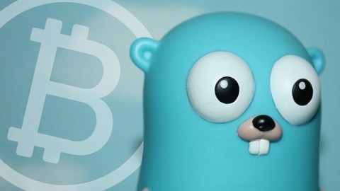 Free Tutorial - programming finite field for bitcoin elliptic curve