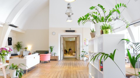 Introduction to Sources of Income in the Esthetic Industry